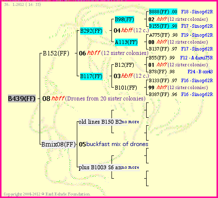 Pedigree of B439(FF) :
four generations presented