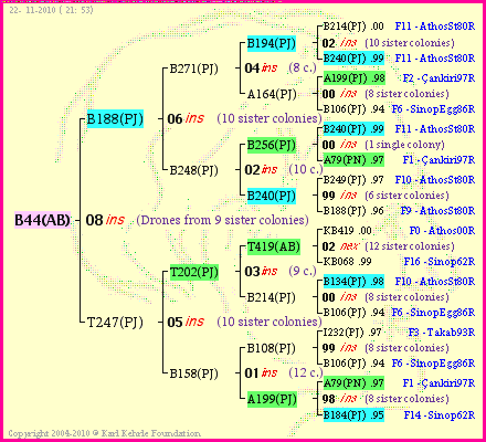 Pedigree of B44(AB) :
four generations presented