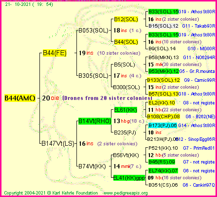 Pedigree of B44(AMC) :
four generations presented
it's temporarily unavailable, sorry!