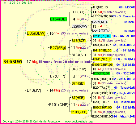 Pedigree of B44(BLW) :
four generations presented<br />it's temporarily unavailable, sorry!