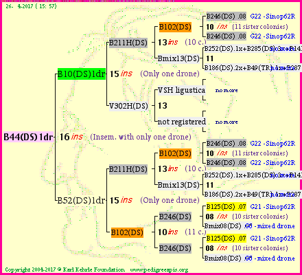 Pedigree of B44(DS)1dr :
four generations presented
it's temporarily unavailable, sorry!