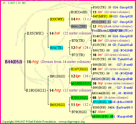 Pedigree of B44(DSJ) :
four generations presented