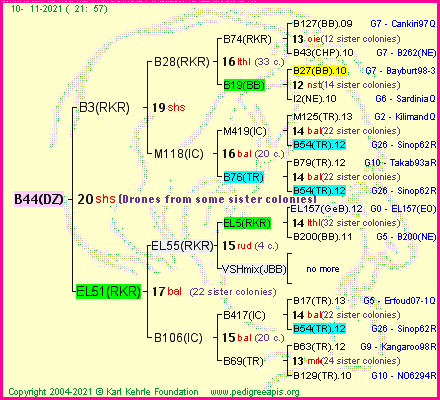 Pedigree of B44(DZ) :
four generations presented
it's temporarily unavailable, sorry!