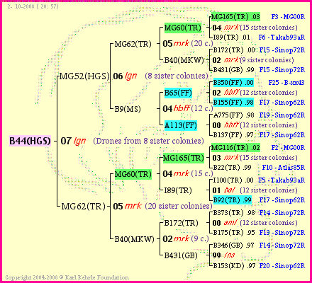 Pedigree of B44(HGS) :
four generations presented