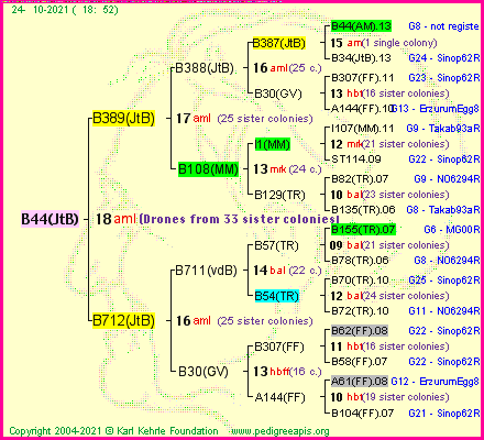 Pedigree of B44(JtB) :
four generations presented
it's temporarily unavailable, sorry!