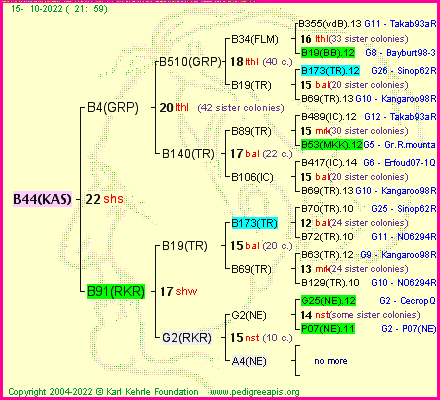 Pedigree of B44(KAS) :
four generations presented
it's temporarily unavailable, sorry!