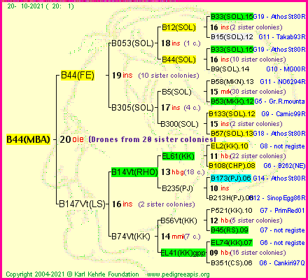 Pedigree of B44(MBA) :
four generations presented
it's temporarily unavailable, sorry!