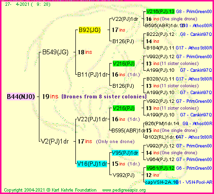 Pedigree of B44(NJO) :
four generations presented
it's temporarily unavailable, sorry!