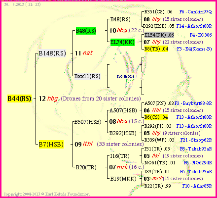 Pedigree of B44(RS) :
four generations presented
it's temporarily unavailable, sorry!