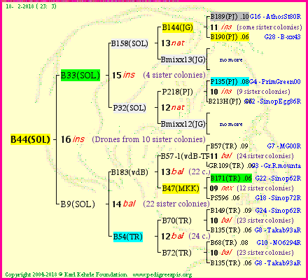 Pedigree of B44(SOL) :
four generations presented
it's temporarily unavailable, sorry!