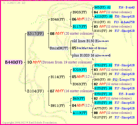 Pedigree of B440(FF) :
four generations presented