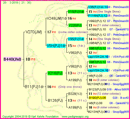 Pedigree of B440(JM) :
four generations presented<br />it's temporarily unavailable, sorry!