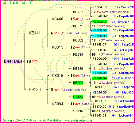 Pedigree of B441(AB) :
four generations presented<br />it's temporarily unavailable, sorry!