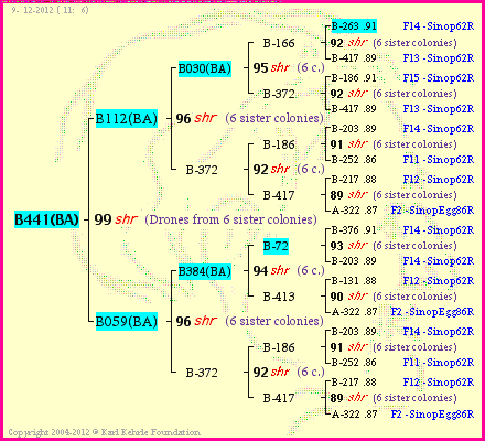 Pedigree of B441(BA) :
four generations presented