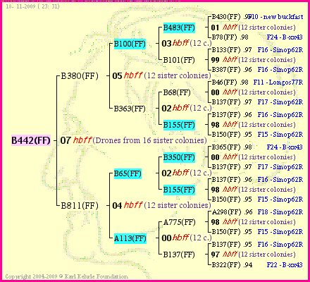 Pedigree of B442(FF) :
four generations presented