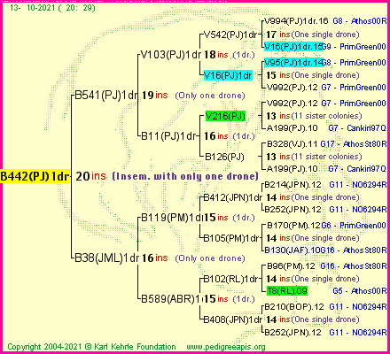 Pedigree of B442(PJ)1dr :
four generations presented
it's temporarily unavailable, sorry!