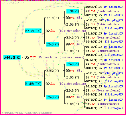 Pedigree of B443(HK) :
four generations presented