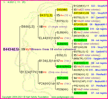 Pedigree of B4434(LS) :
four generations presented
it's temporarily unavailable, sorry!