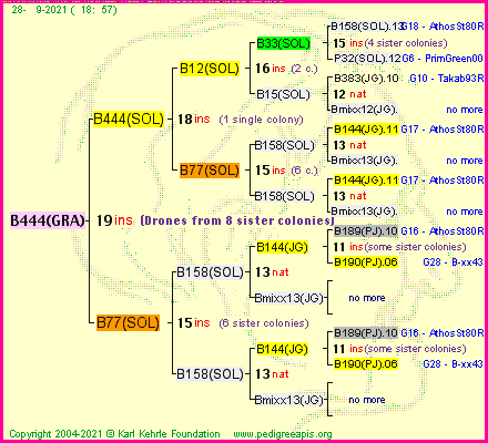 Pedigree of B444(GRA) :
four generations presented
it's temporarily unavailable, sorry!