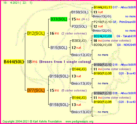 Pedigree of B444(SOL) :
four generations presented
it's temporarily unavailable, sorry!