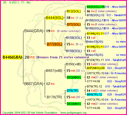 Pedigree of B446(GRA) :
four generations presented
it's temporarily unavailable, sorry!