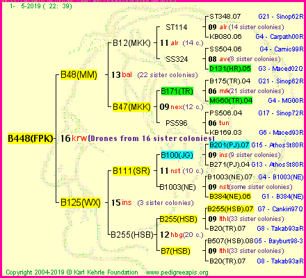 Pedigree of B448(FPK) :
four generations presented<br />it's temporarily unavailable, sorry!