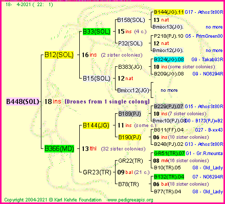 Pedigree of B448(SOL) :
four generations presented
it's temporarily unavailable, sorry!