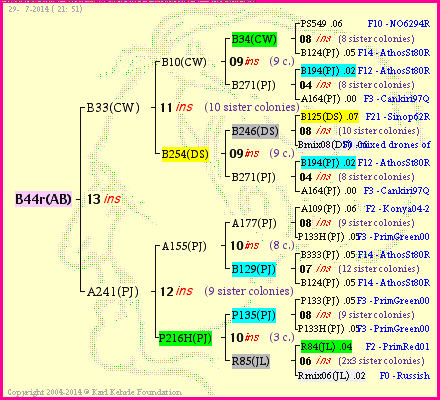 Pedigree of B44r(AB) :
four generations presented