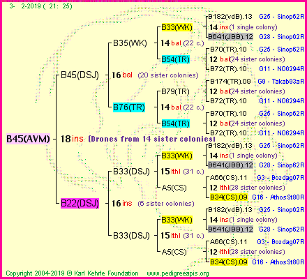 Pedigree of B45(AVM) :
four generations presented<br />it's temporarily unavailable, sorry!