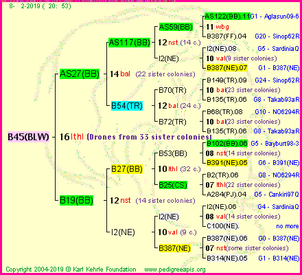 Pedigree of B45(BLW) :
four generations presented<br />it's temporarily unavailable, sorry!