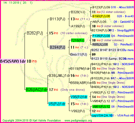 Pedigree of B45(SAW)1dr :
four generations presented<br />it's temporarily unavailable, sorry!