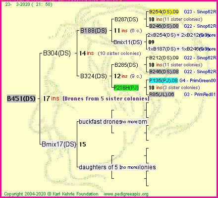 Pedigree of B451(DS) :
four generations presented
it's temporarily unavailable, sorry!