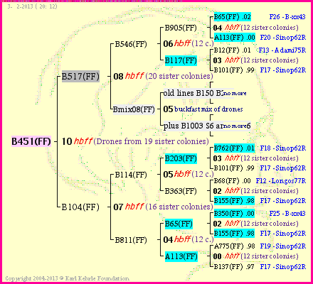 Pedigree of B451(FF) :
four generations presented