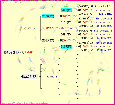 Pedigree of B452(FF) :
four generations presented