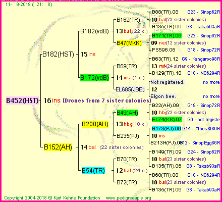 Pedigree of B452(HST) :
four generations presented