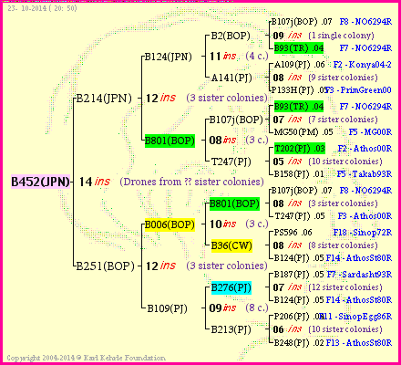 Pedigree of B452(JPN) :
four generations presented