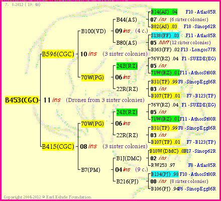 Pedigree of B453(CGC) :
four generations presented