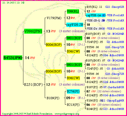 Pedigree of B453(JPN) :
four generations presented