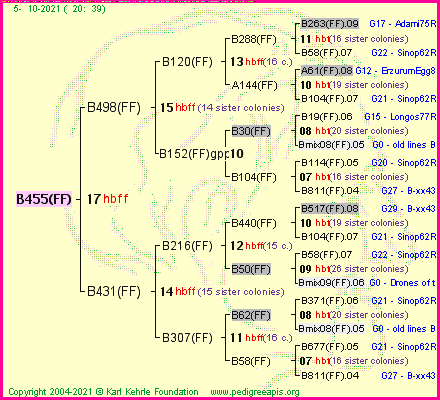 Pedigree of B455(FF) :
four generations presented
it's temporarily unavailable, sorry!