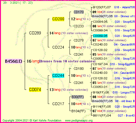 Pedigree of B456(LE) :
four generations presented
it's temporarily unavailable, sorry!