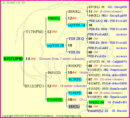 Pedigree of B457(JPN) :
four generations presented