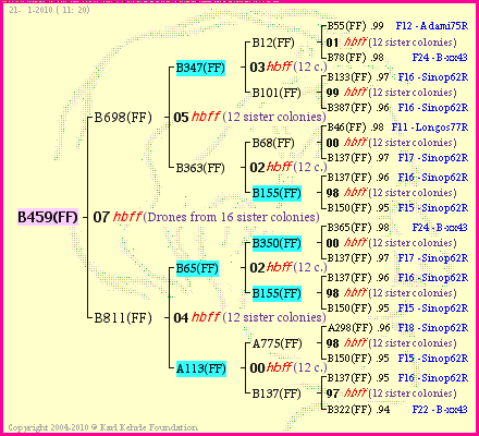 Pedigree of B459(FF) :
four generations presented