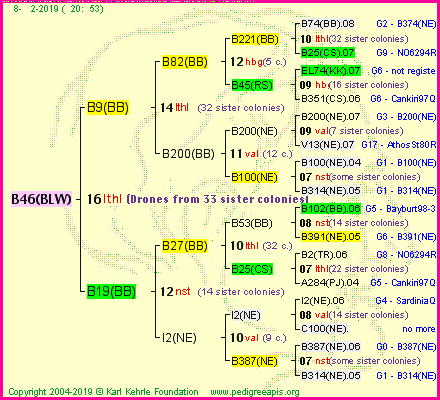 Pedigree of B46(BLW) :
four generations presented<br />it's temporarily unavailable, sorry!