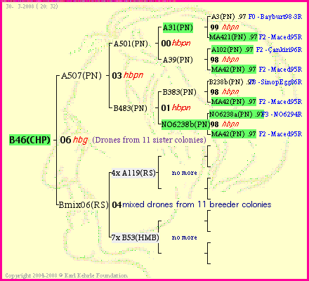 Pedigree of B46(CHP) :
four generations presented