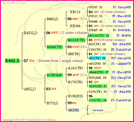 Pedigree of B46(LJ) :
four generations presented
it's temporarily unavailable, sorry!