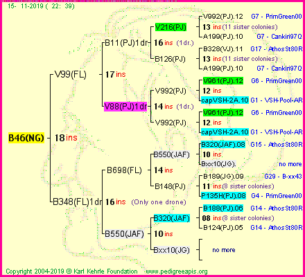Pedigree of B46(NG) :
four generations presented<br />it's temporarily unavailable, sorry!