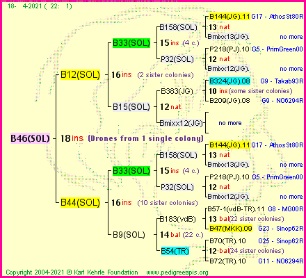 Pedigree of B46(SOL) :
four generations presented
it's temporarily unavailable, sorry!