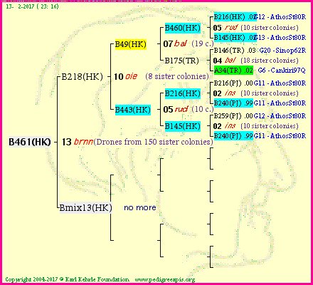 Pedigree of B461(HK) :
four generations presented