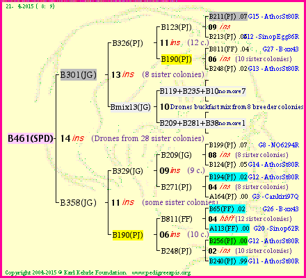 Pedigree of B461(SPD) :
four generations presented