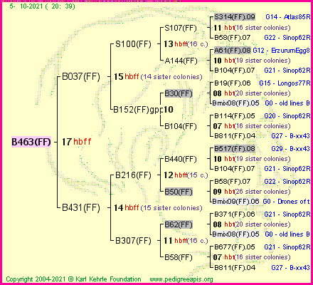 Pedigree of B463(FF) :
four generations presented
it's temporarily unavailable, sorry!